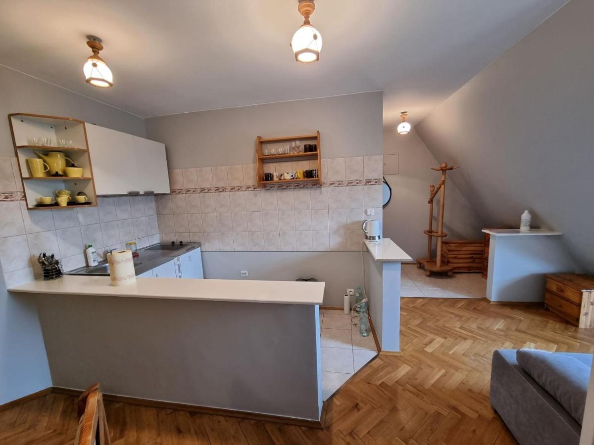 Apartament Droga Na Bystre 9A Zakopane Eksteriør billede