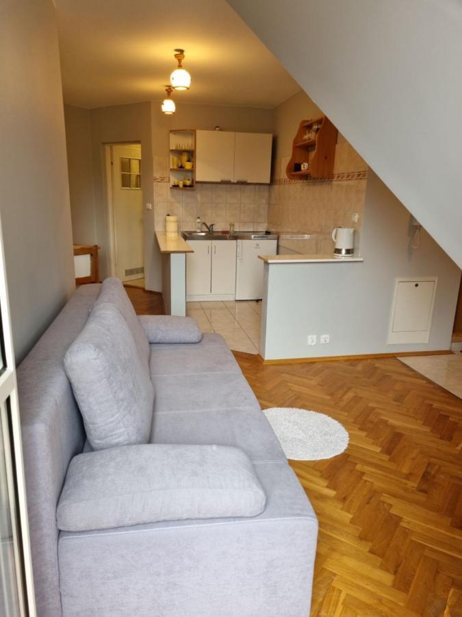 Apartament Droga Na Bystre 9A Zakopane Eksteriør billede